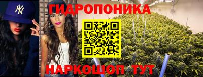 сатива Гатчина