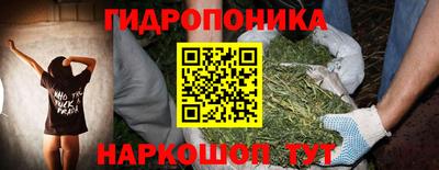 сатива Гатчина