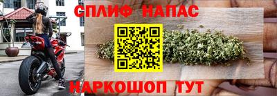 сатива Гатчина