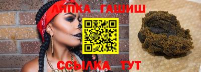 сатива Гатчина