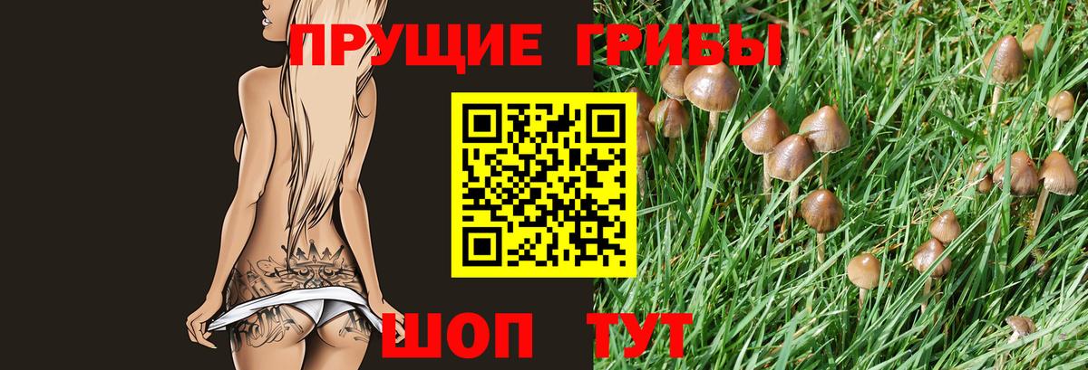 Галлюциногенные грибы Magic Shrooms Киселёвск