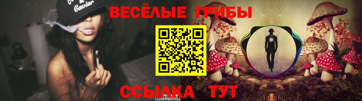 наркотики  Вход с VPN  Киселёвск  Псилоцибиновые грибы мухоморы  Псилоцибиновые грибы Psilocybine cubensis 